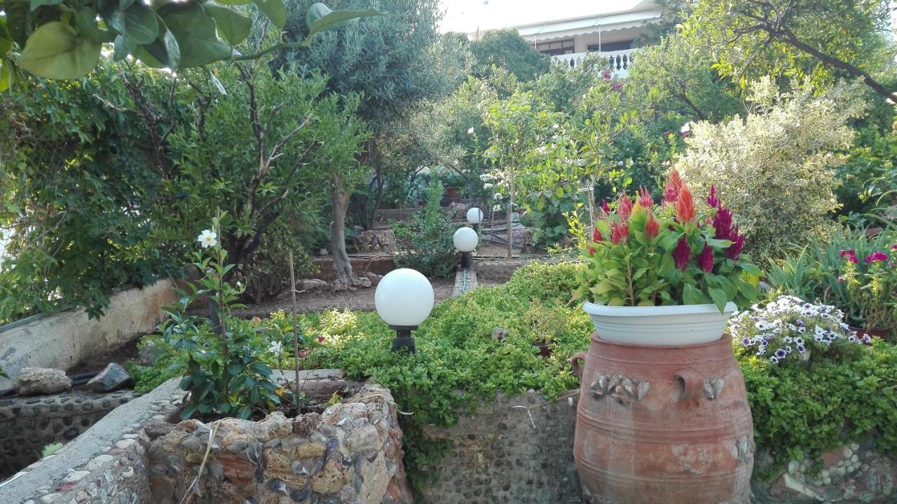 Luxury Cozy With Garden Near The Sea