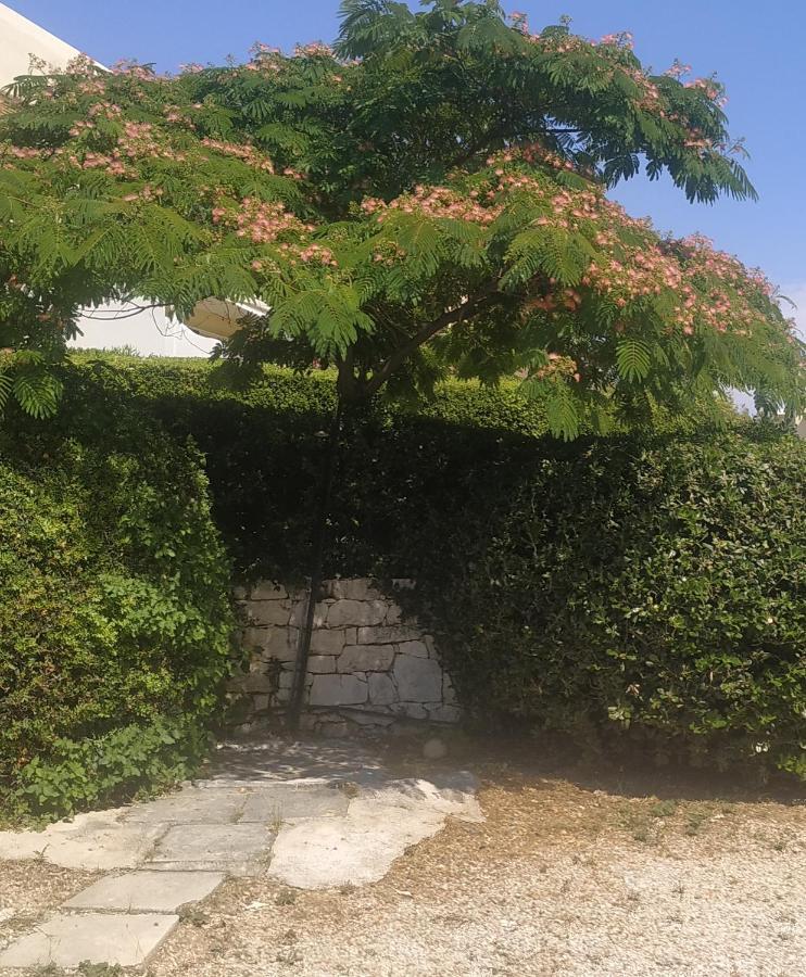 Holiday home Agia Marina Koropi