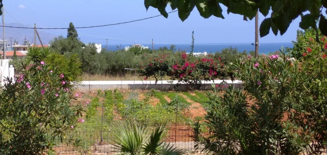 Christianna House -villa * Georgioupoli