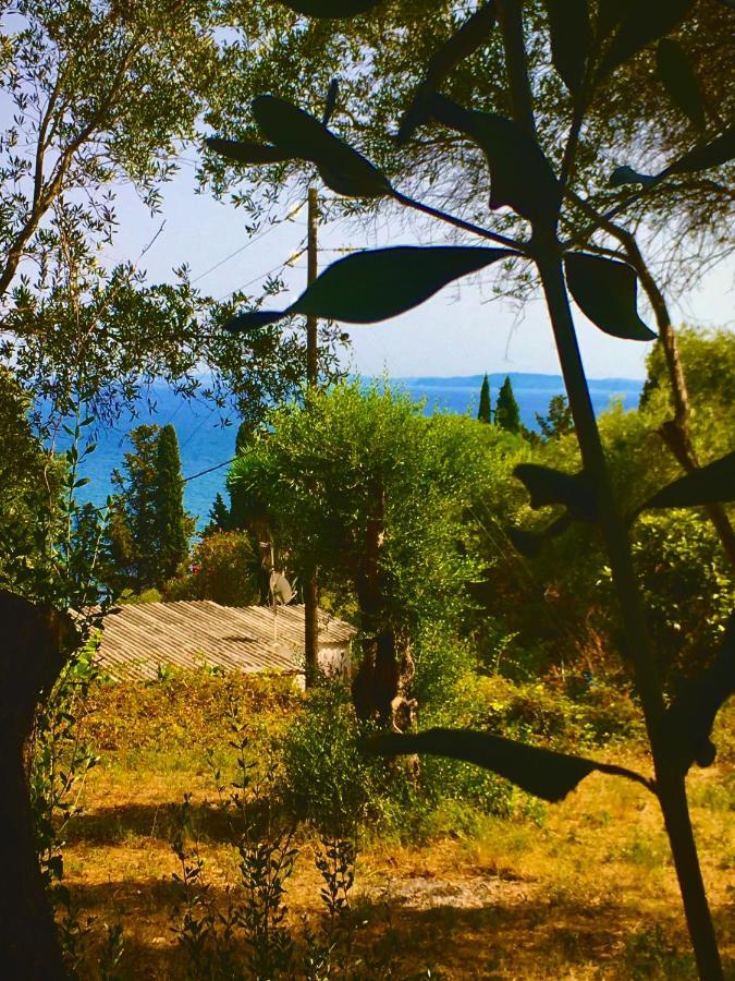 Anna's House Perama (Corfu)