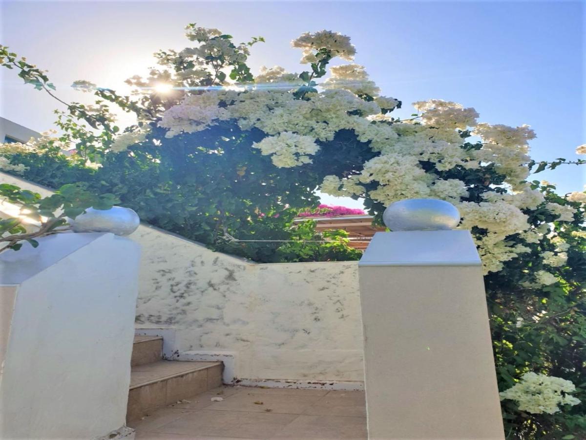 In - 21 Full View Adults Only Guest house