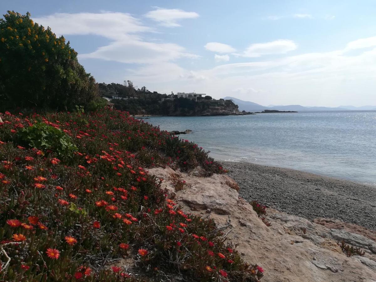Agia Marina Koropi Holiday home Agia Marina (Attica)