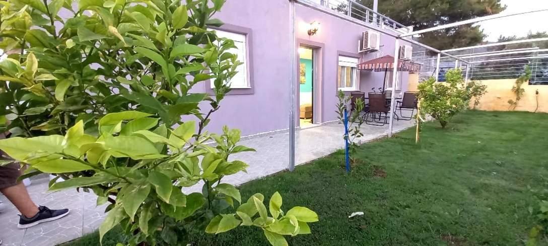 Apartment Aggelos *