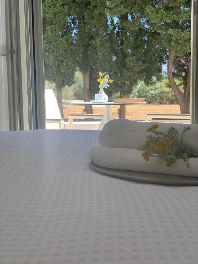 Chrisantakis Appartments Apartment Drios