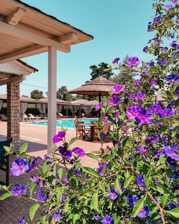 Aparthotel Kalamitsi Preveza