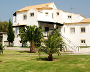 Corfu Sea Palm
