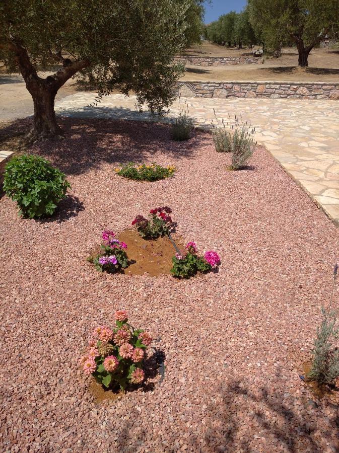 Holiday home Aggeliki House 5
