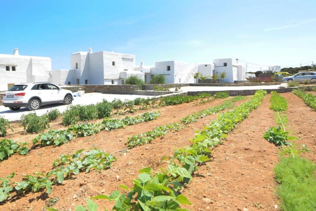 Villa Casa Vento - Maisonette Near Santa Maria Santa Maria (Paros)