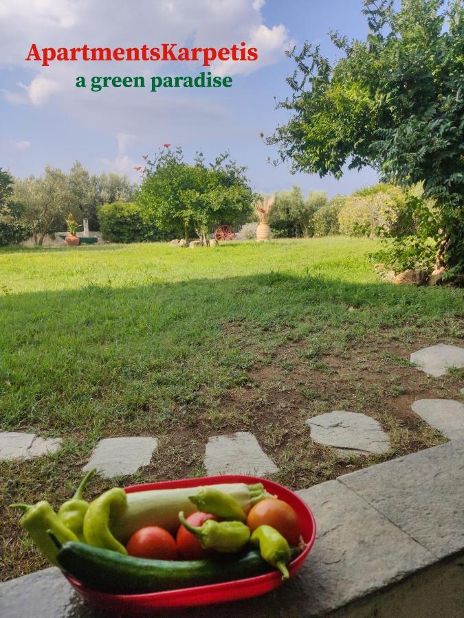 Karpetis A Paradise Apartment *