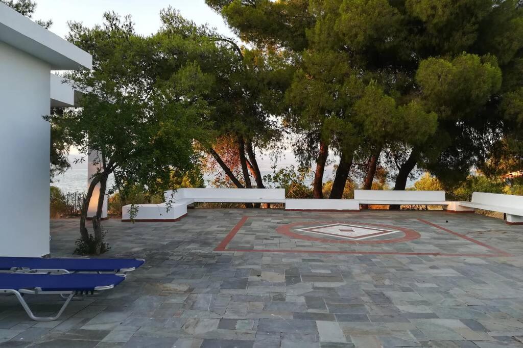 Pine Tree Beachfront Drosia (Central Greece)
