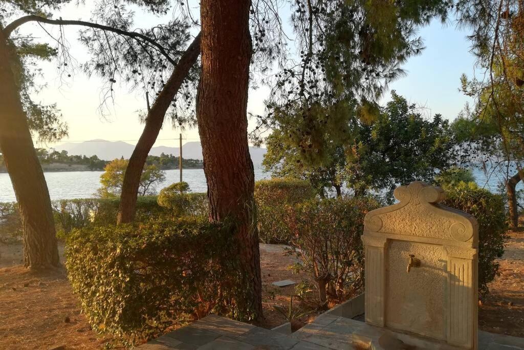 Pine Tree Beachfront Villa Drosia (Central Greece)