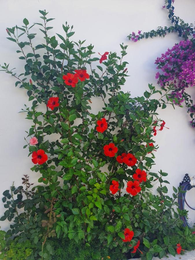 Holiday home Daglas House *