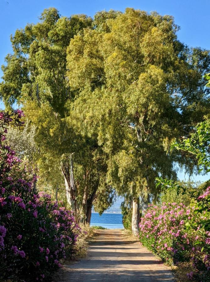 House Holiday home Eretria (Evia)