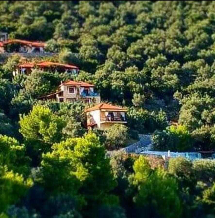 Skiathos Garden 3* Skiathos Town