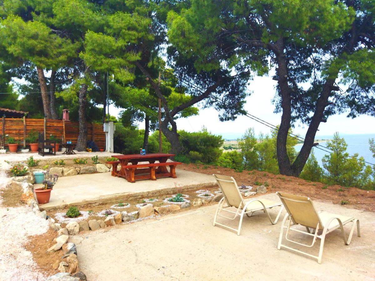 Pefkonas 100 M From The