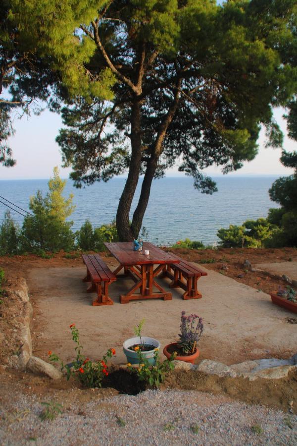 Pefkonas 100 M From The Apartment Psakoudia