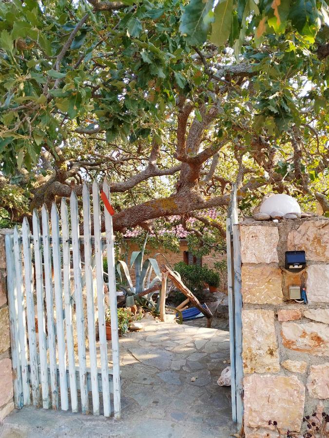 Wellanidia Skoutari Holiday home
