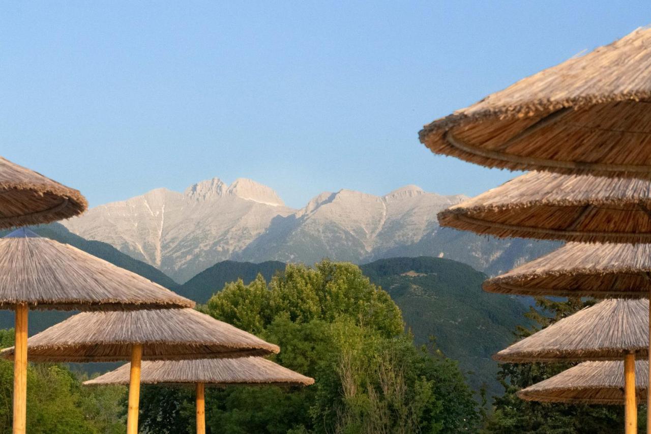 Olympios Zeus Hotel 3*
