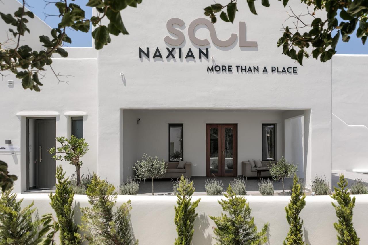 Aparthotel Naxian Soul *