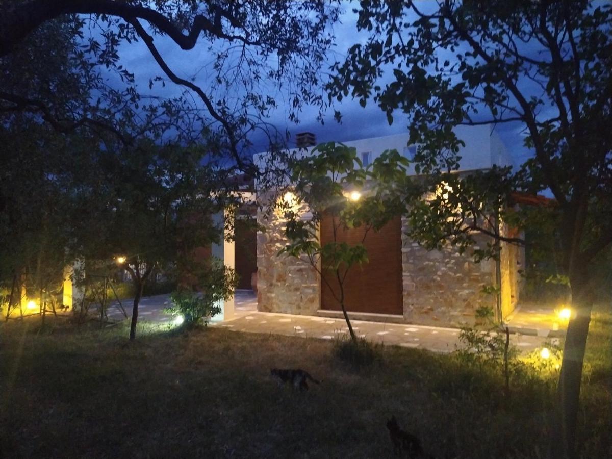 Elea Stone In Organic Quiet Olive Grove, Prinos, Thassos