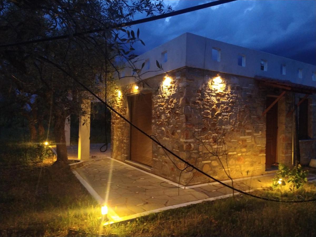 Elea Stone In Organic Quiet Olive Grove, Prinos, Thassos Prinos (Thasos)