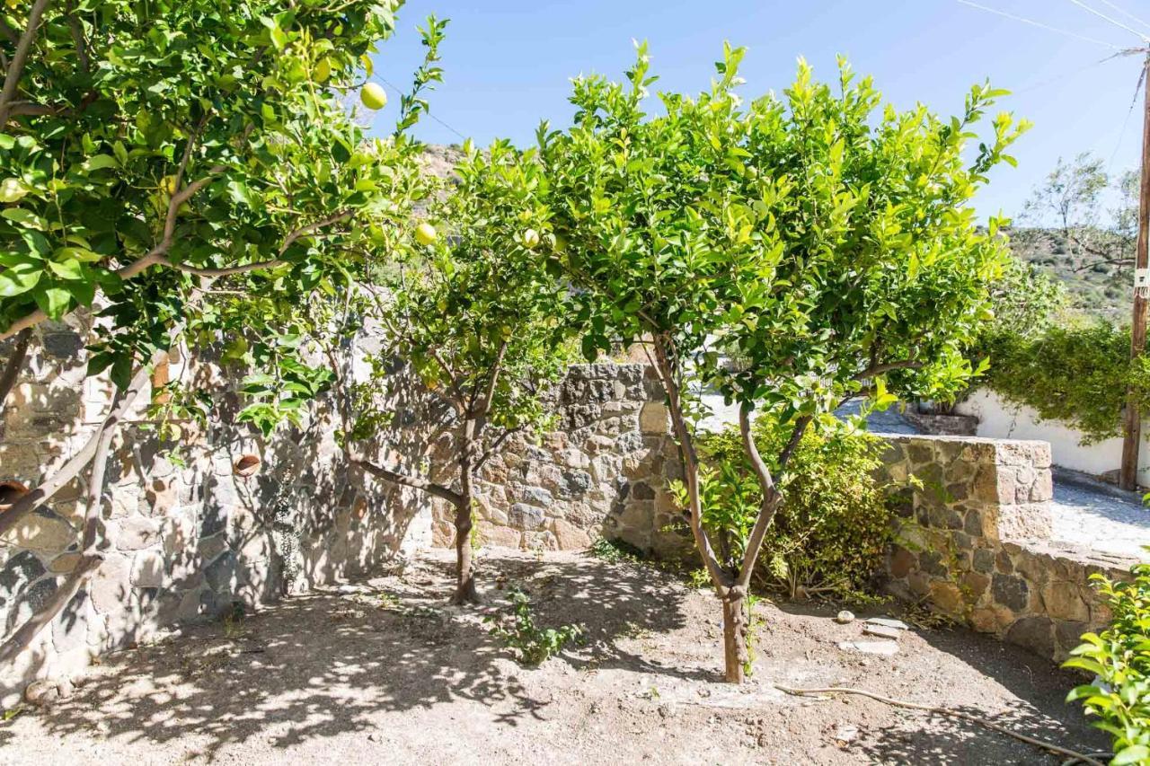 Guest house Euphoria In Aegina, A' Marathonas Bay *