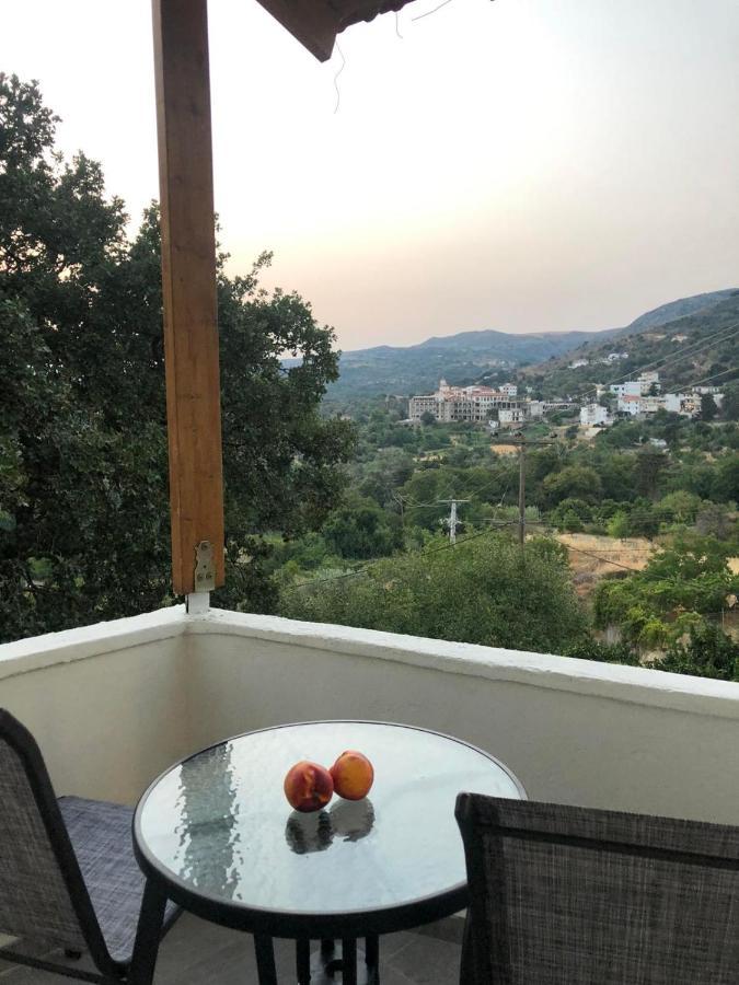 Fontana Leone Apartment