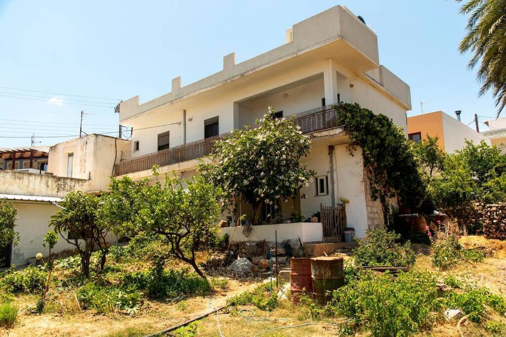 Julia's House