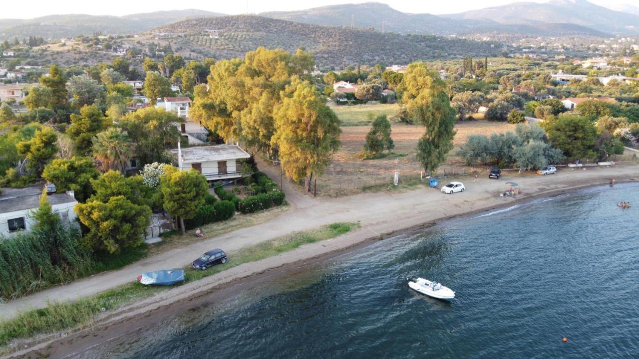 Holiday home House