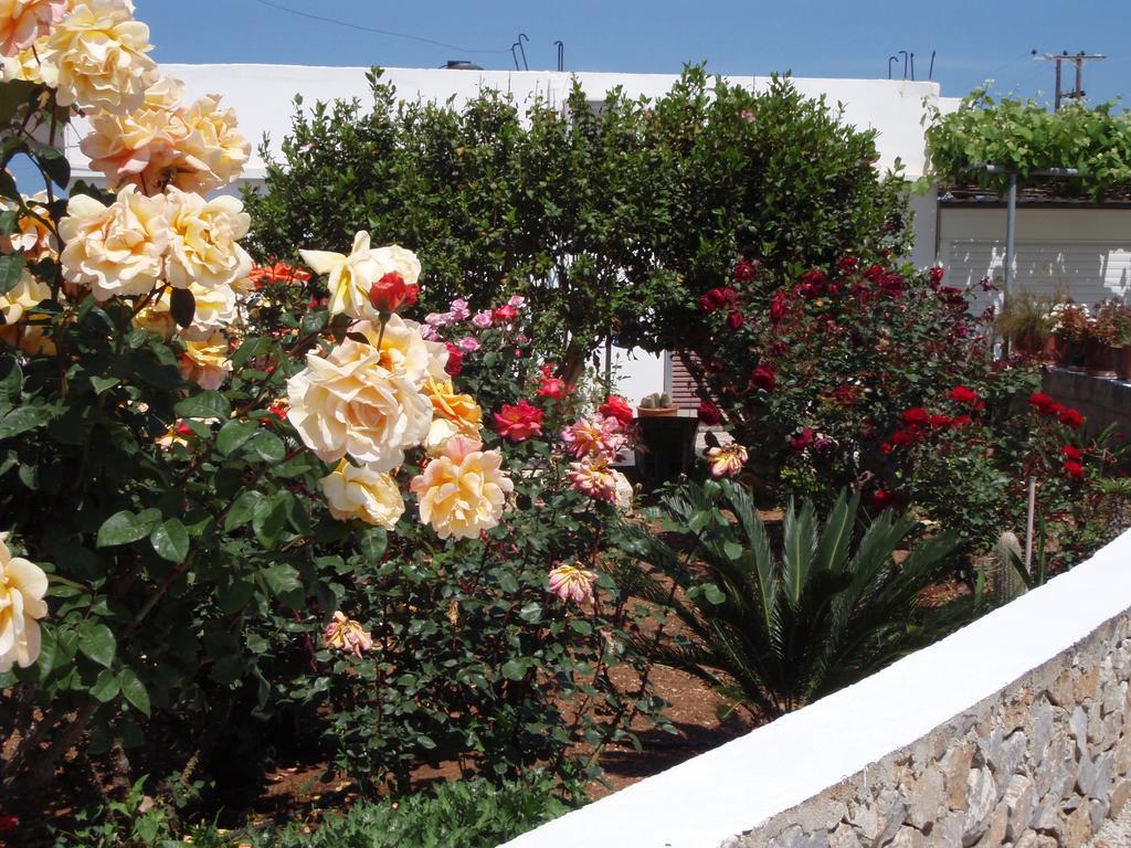 Villas Michalis Chorafakia