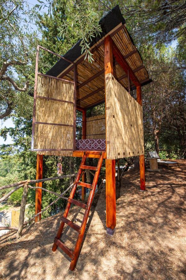 Wild Oak Estate - Stunning Views At A Dreamy Location, By Zantewize * Argassi