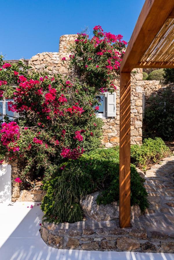 Villa Artisti Mykonos