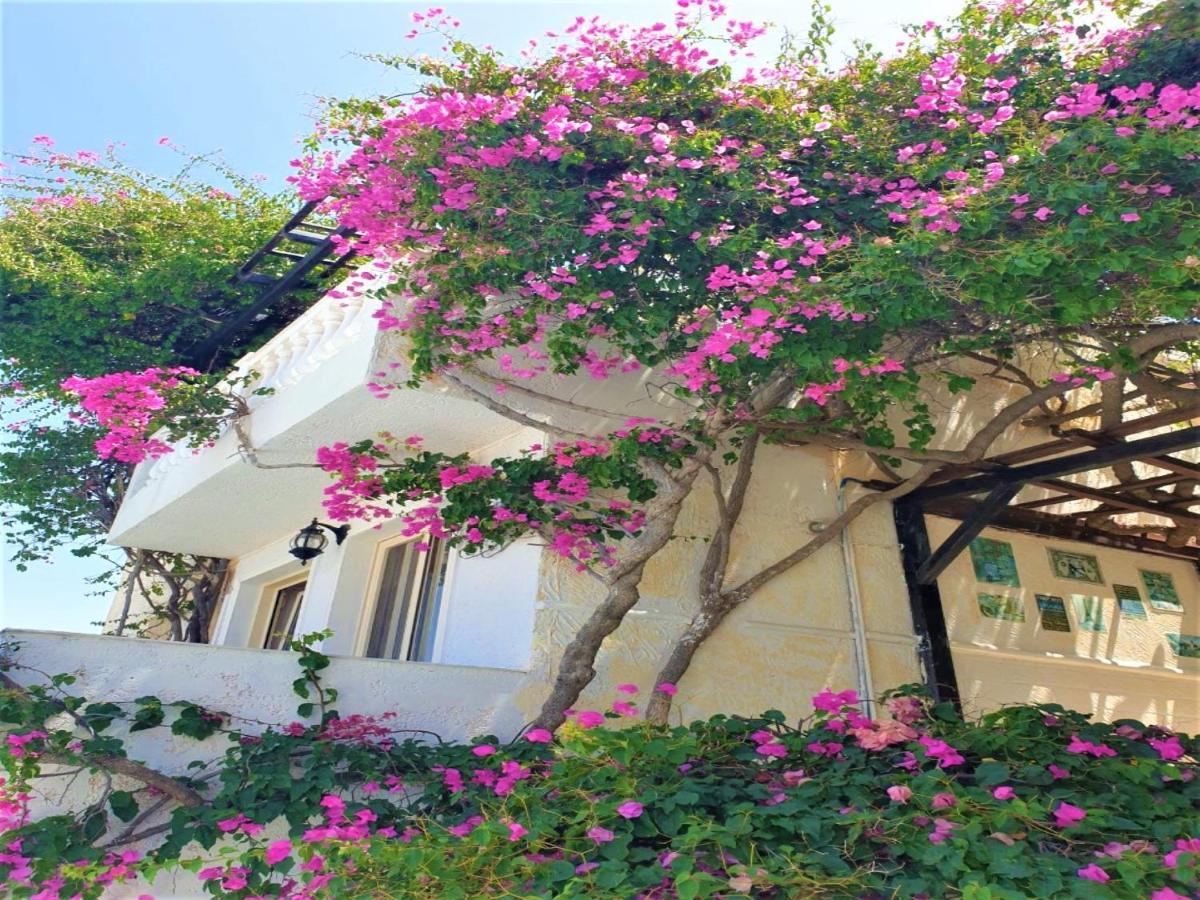 Entire Full View 3 Bedrooms 3 Bathrooms 3 Kitchens Villa *