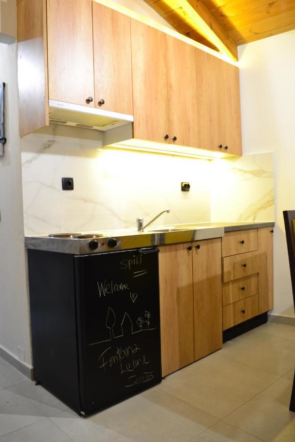 Apartment Fontana Leone Spilion