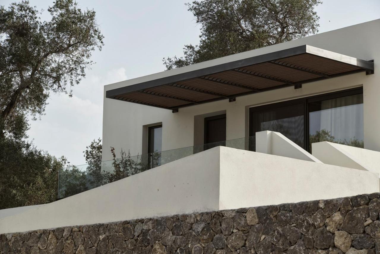 The Olivar