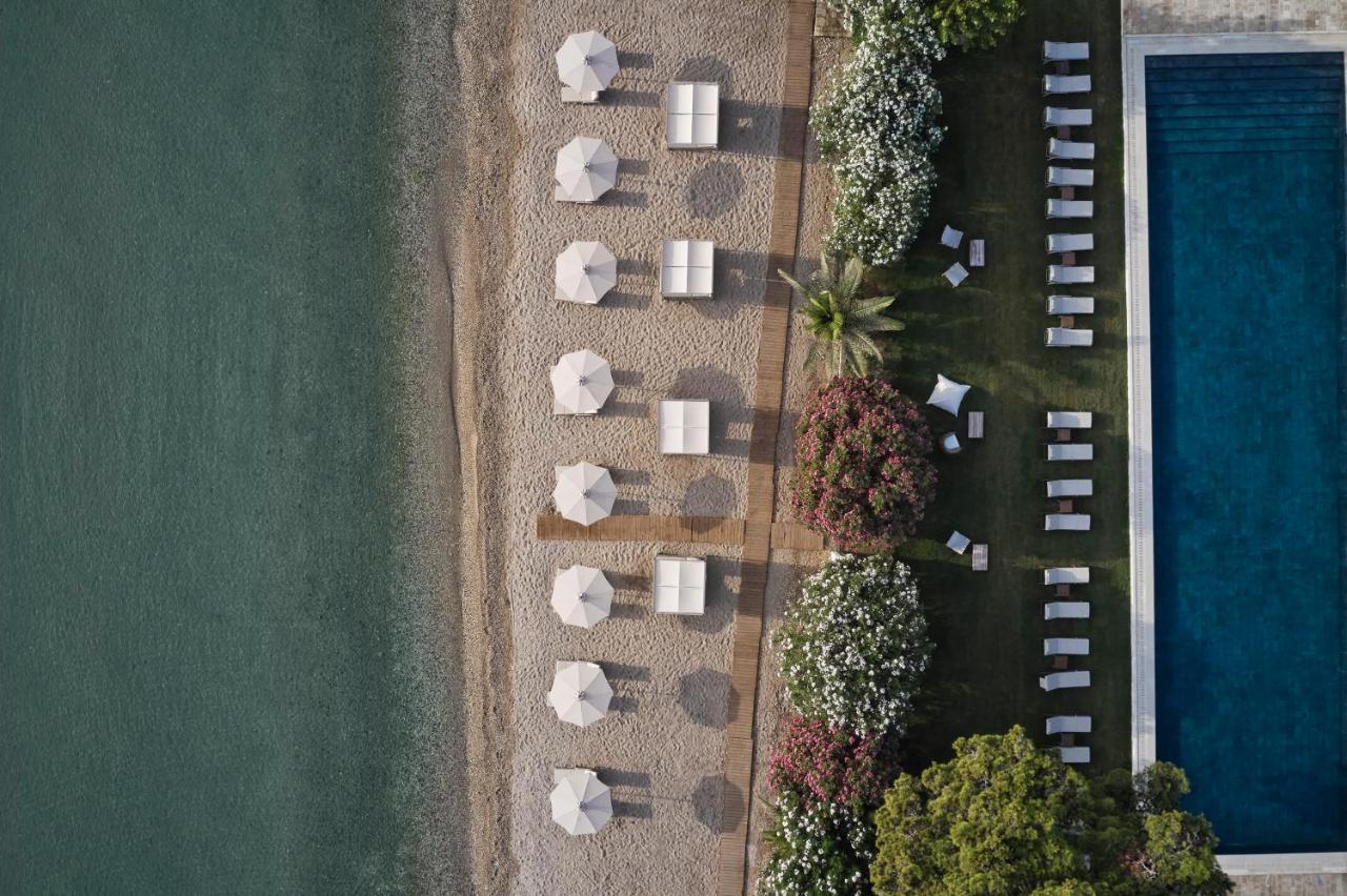 The Olivar 5*