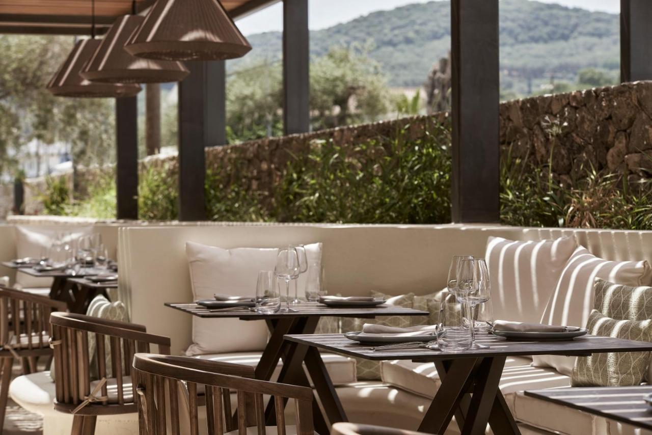 The Olivar 5*