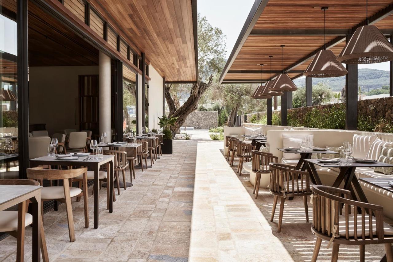 The Olivar 5* Mesongi