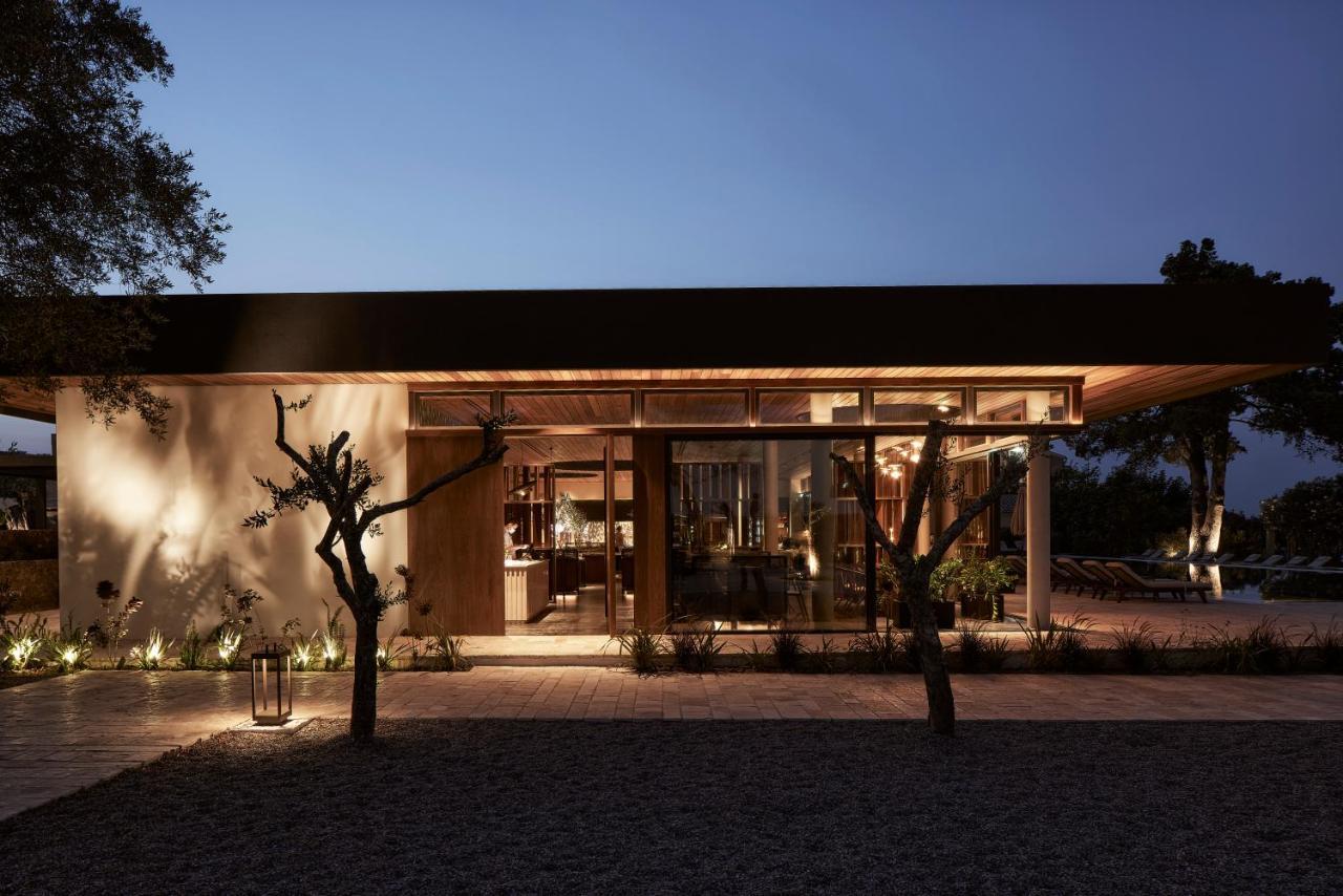 The Olivar 5*