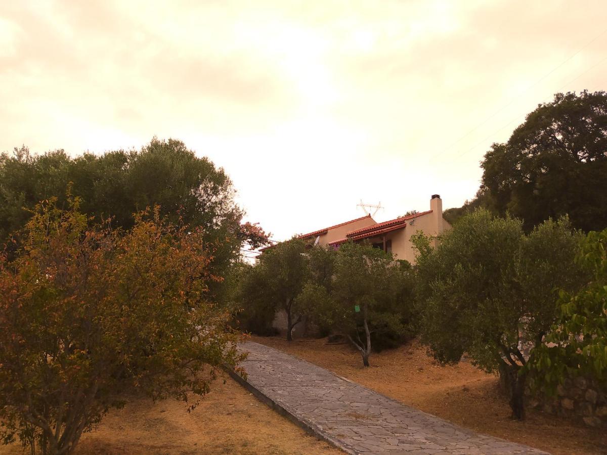 Tsapoula Holiday home *