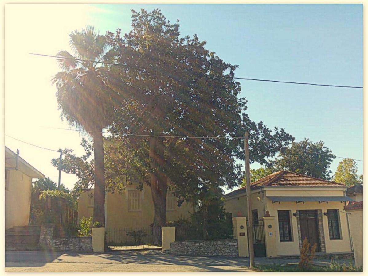 Guest house Archontiko Tsaknaki Manolia