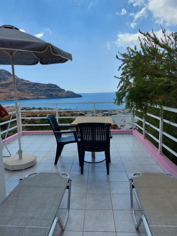 Camelia Apartment *