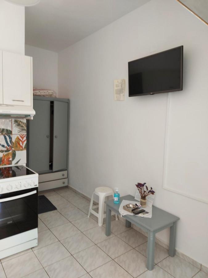 Camelia Apartment