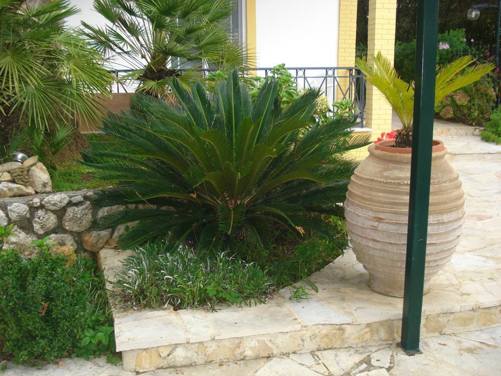Iron House Apartment Agios Georgios (Corfu)