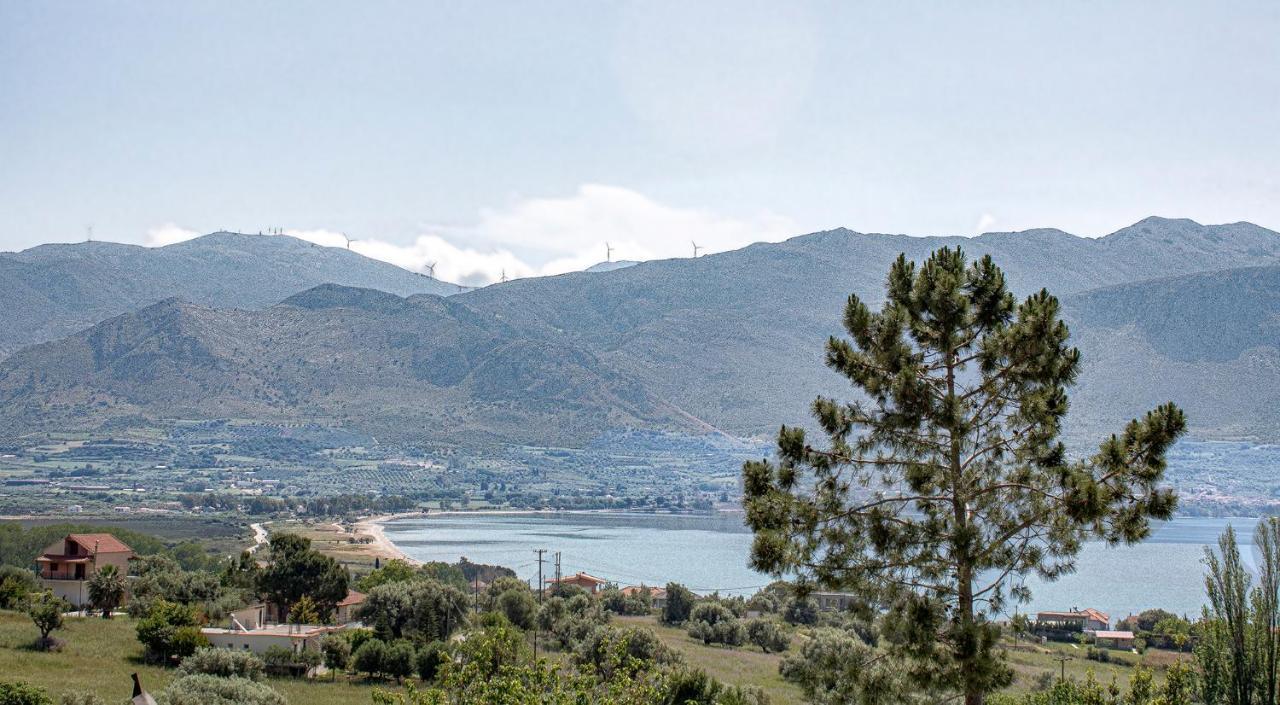 Aetos Villa