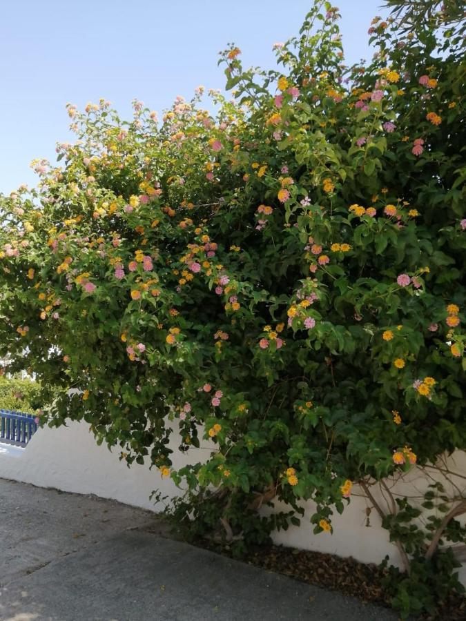 Apartment Pontoria Stegna Studios Archangelos (Rhodes)