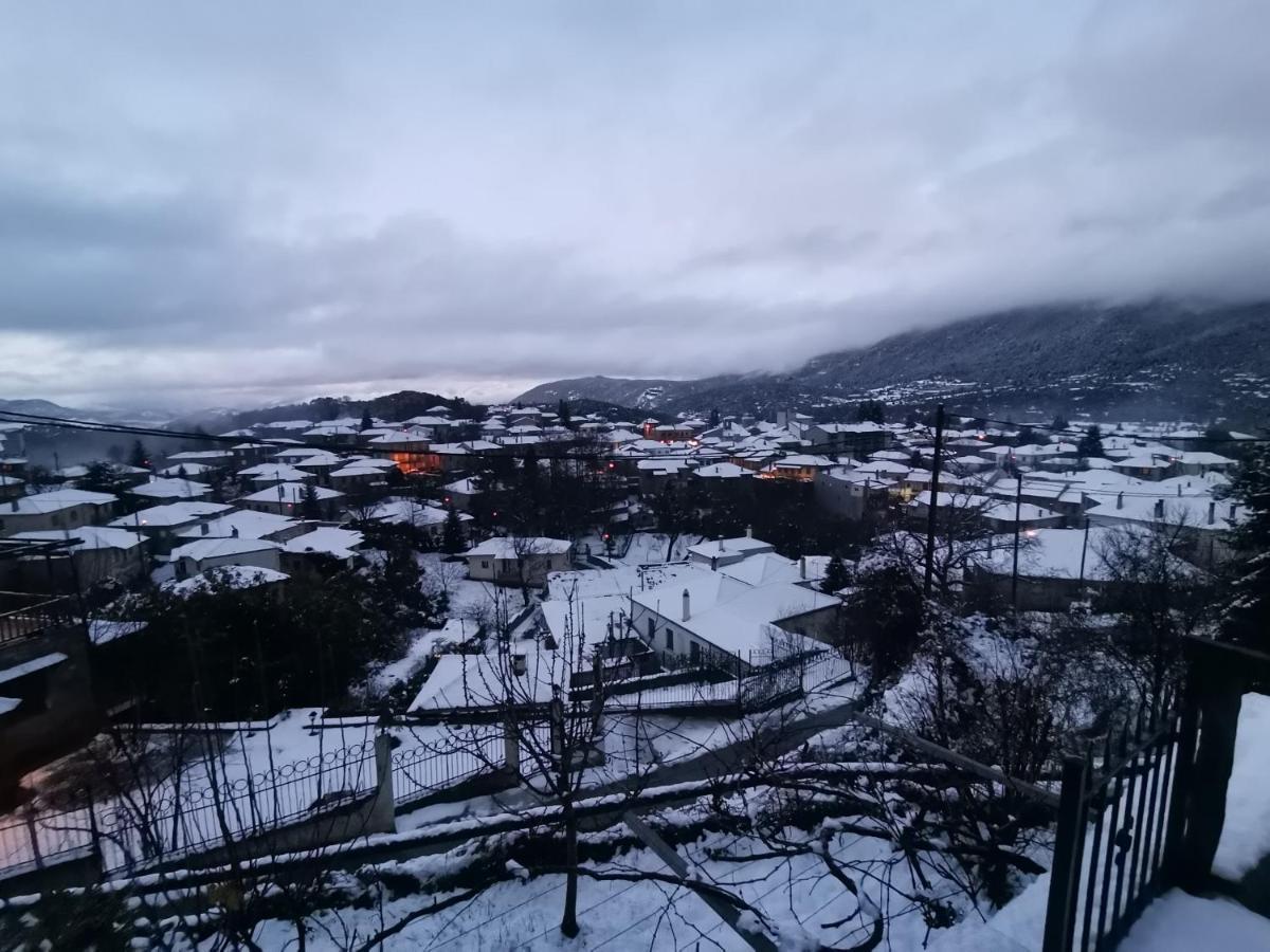 Panorama Vytinas *