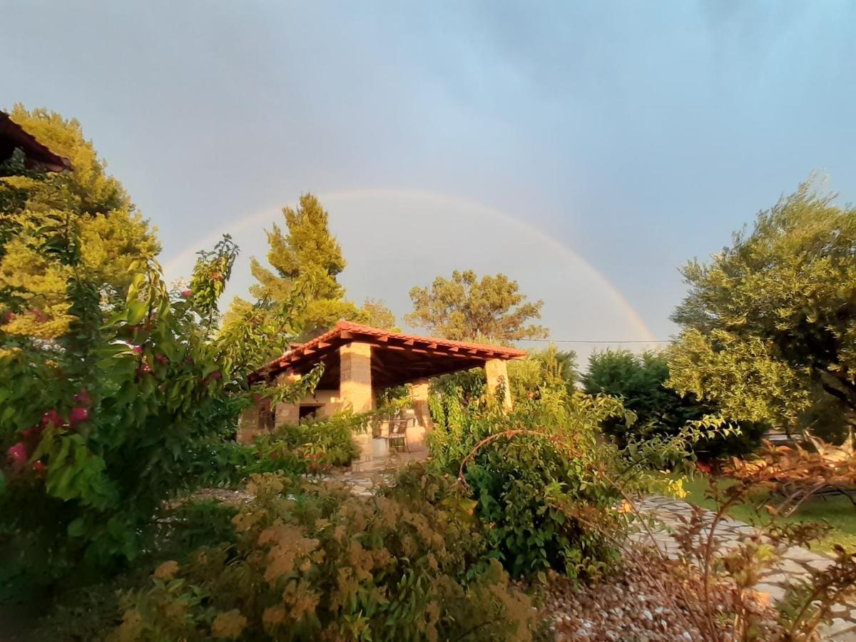 Ellaida Holiday home