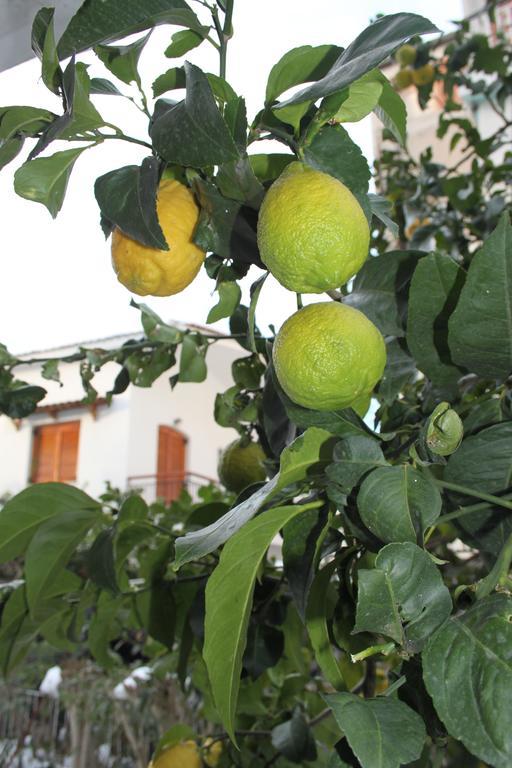 Guest house 123 Armonia Loutra Edipsou (Evia)