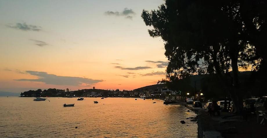 Yard Of Epicurus - η αυλή του επίκουρου Holiday home
